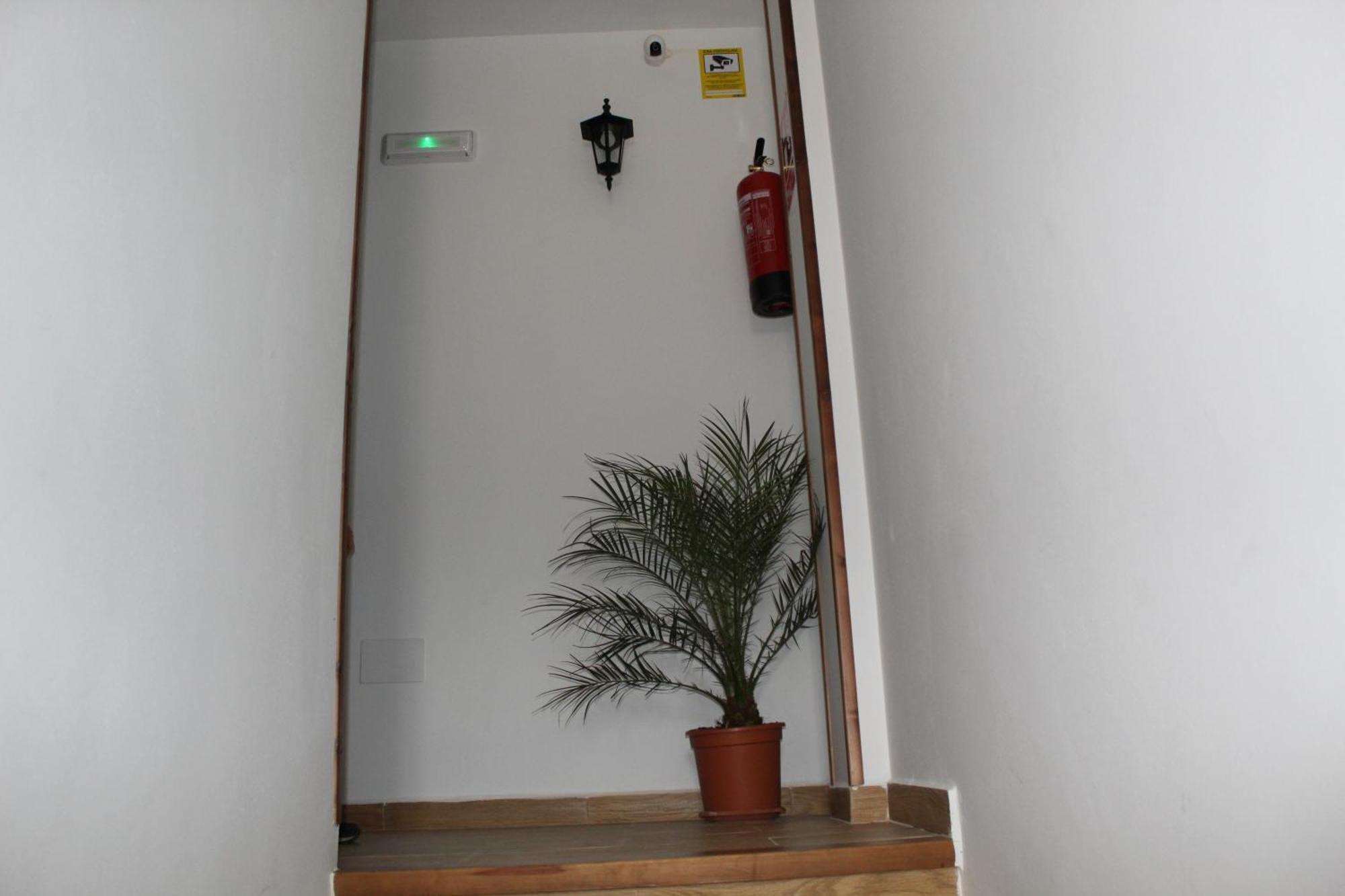 Apartament Ninfa De La Sierra Riópar Zewnętrze zdjęcie